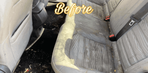 Before Interior Cleaning & Shampoo, Stain Removal in El Paso by Super Shine Mobile Detailing